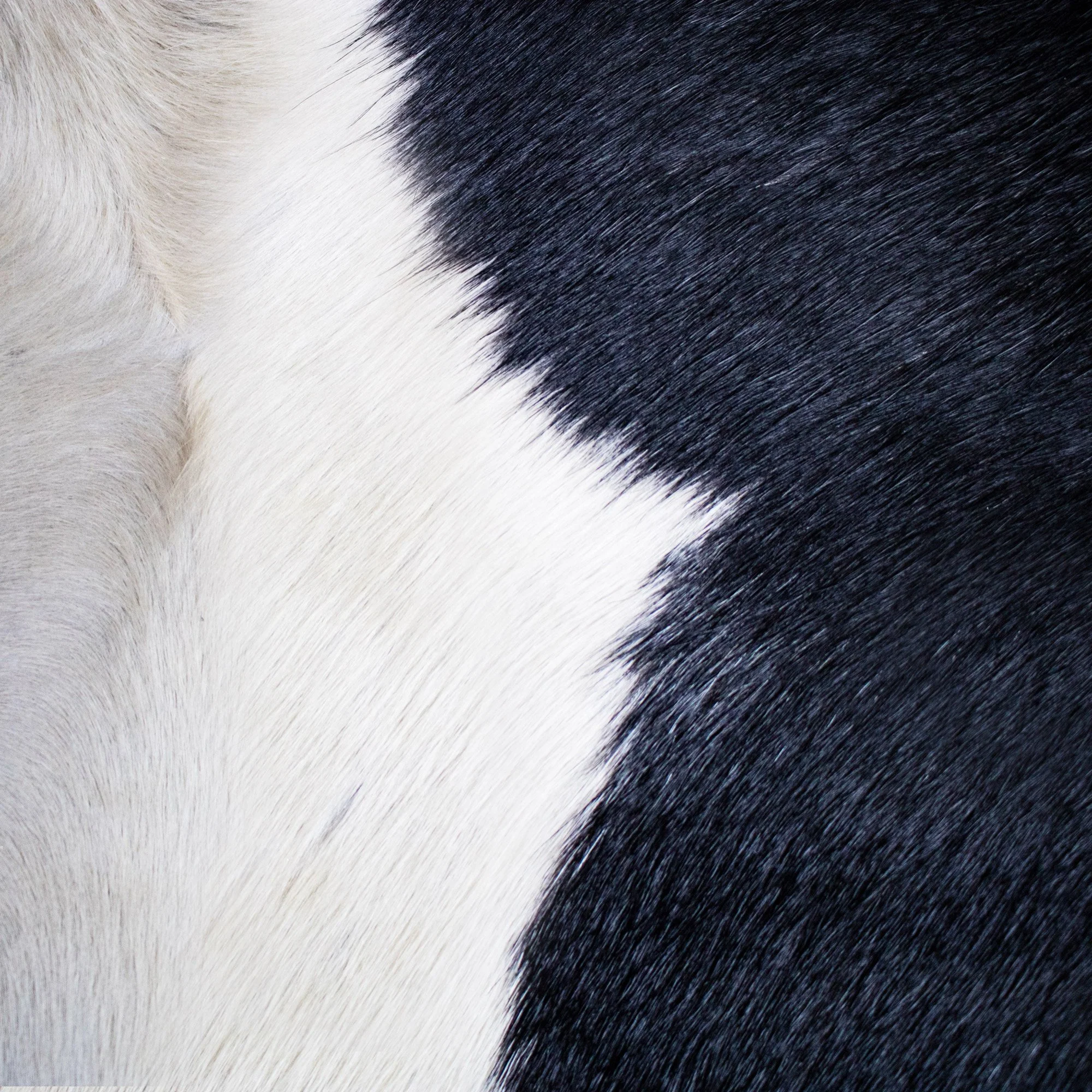 Black & White Natural Cowhide Cushion Cover - Image 5