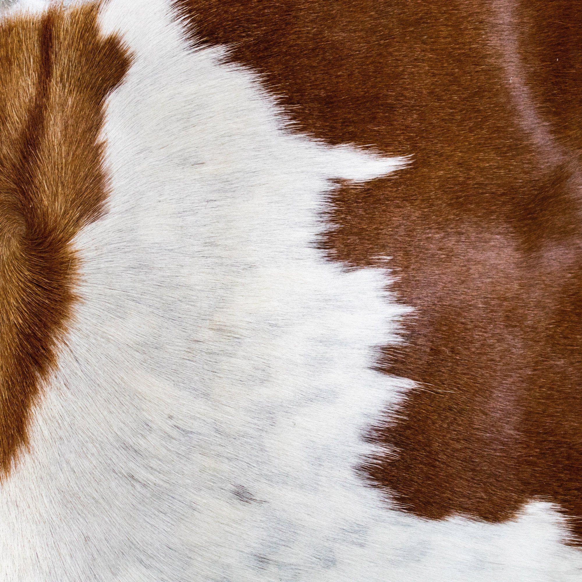 Brown & White Natural Cowhide Cushion Cover - Image 5