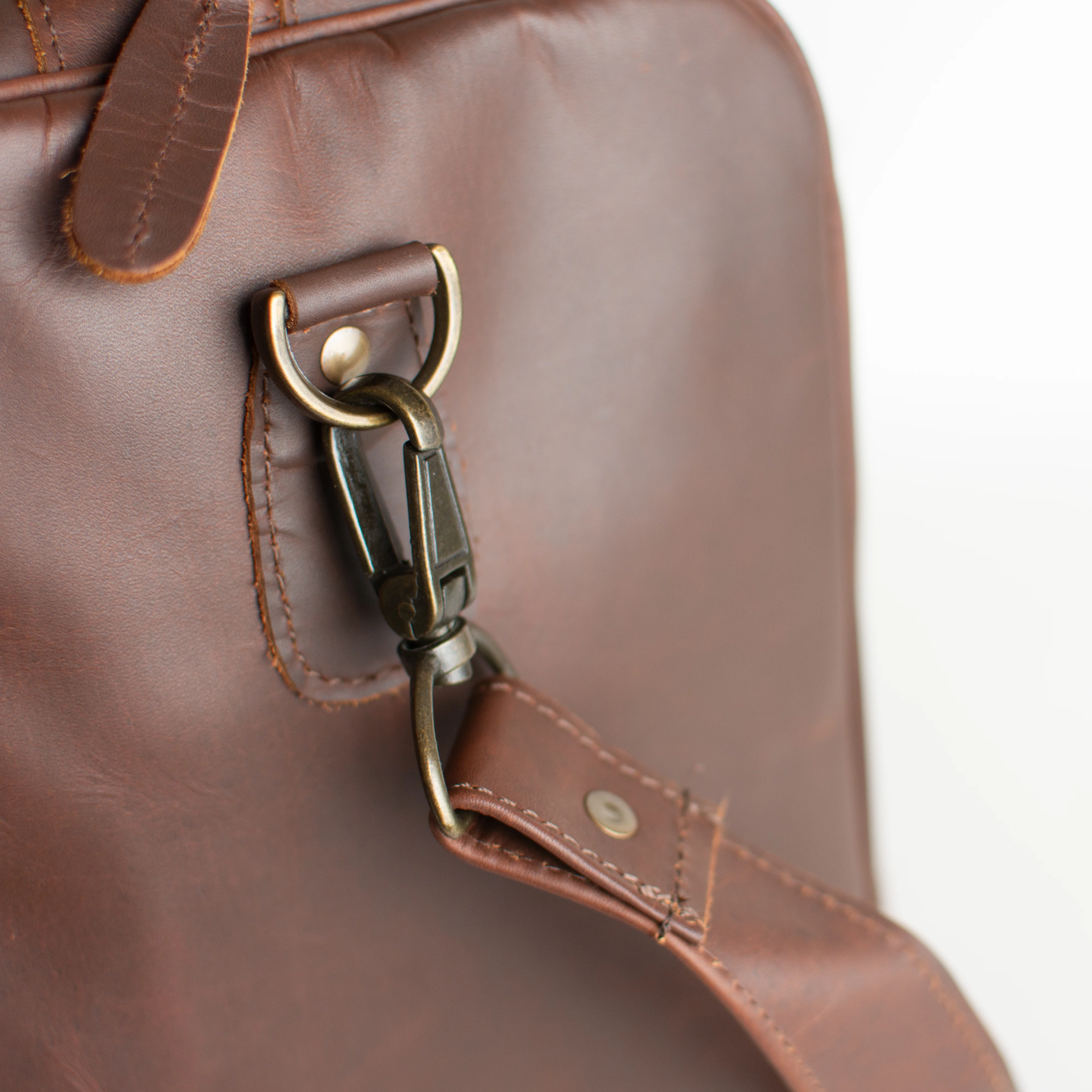 The Cortes - Image 7