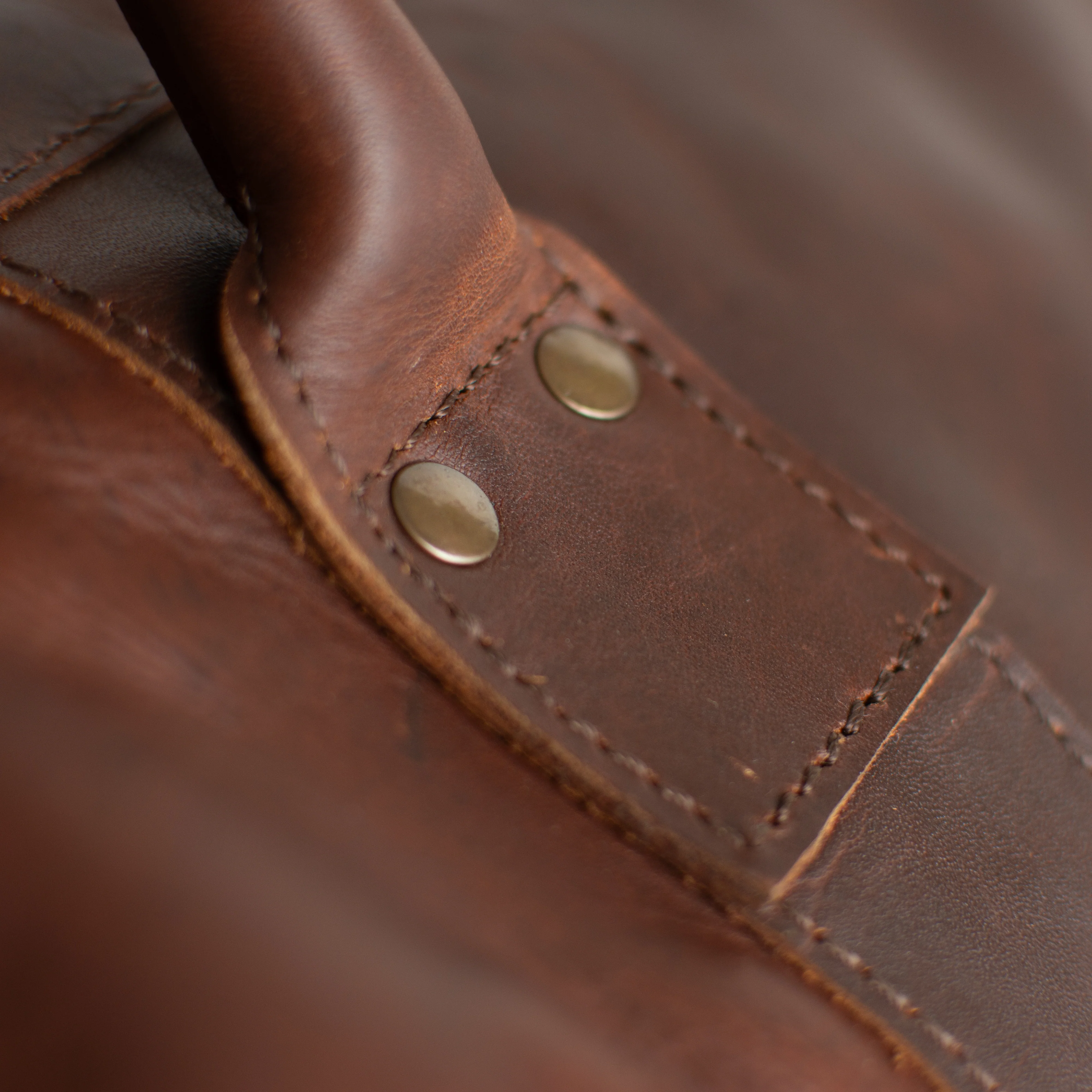 The Cortes - Image 8