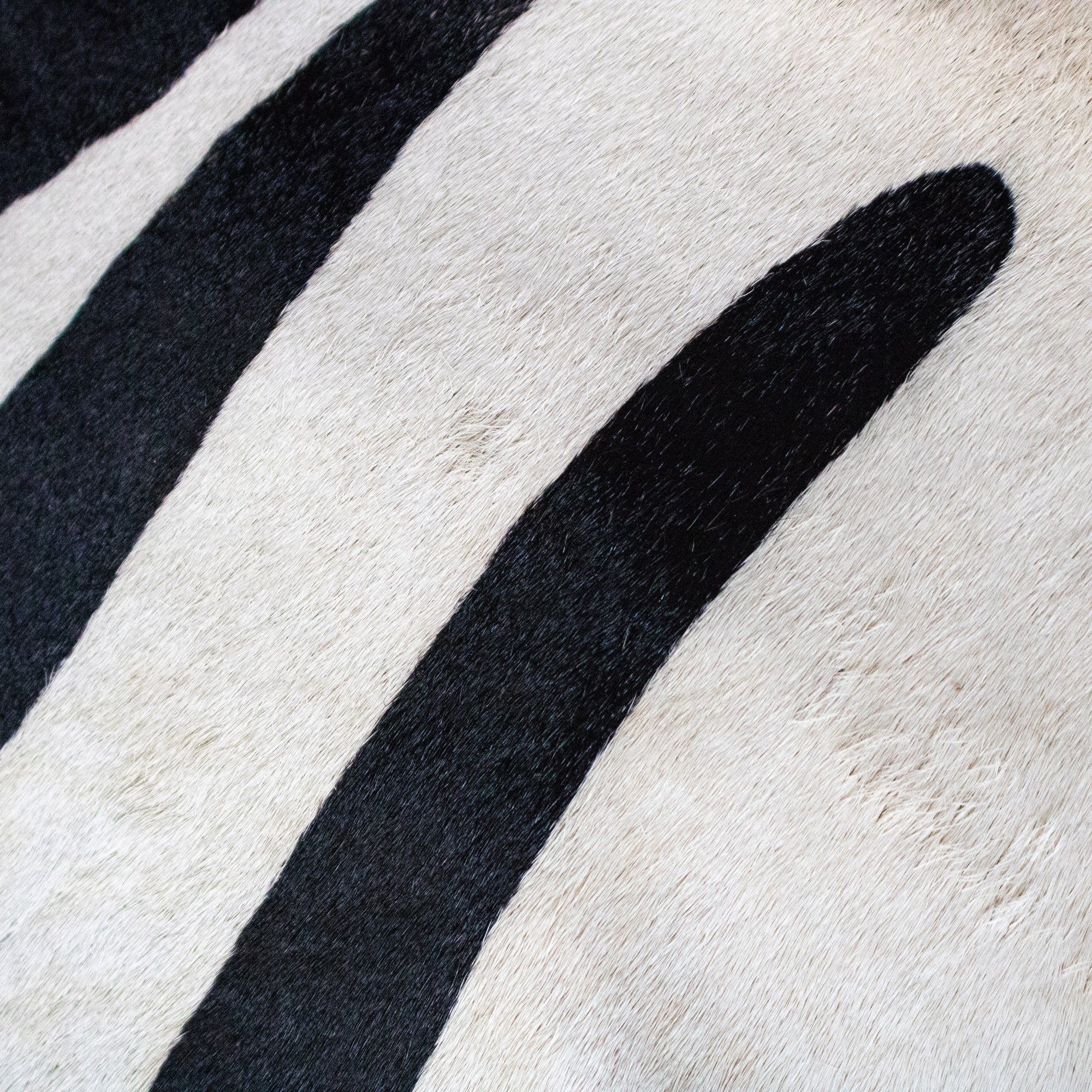Zebra Print Natural Cowhide Cushion Cover - Image 5
